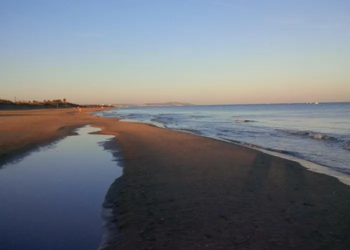 アパート スタジオ ナトゥリスト デザイン