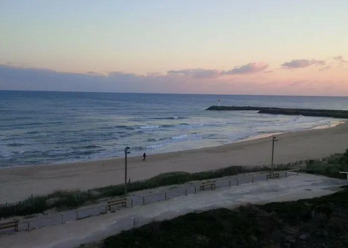 アパート スタジオ ナトゥリスト デザイン アグド