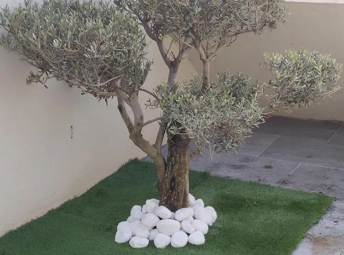 Naturiste Design Agde